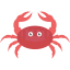Crab icon 64x64
