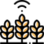 Wheat icon 64x64