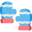 Mitten icon 64x64