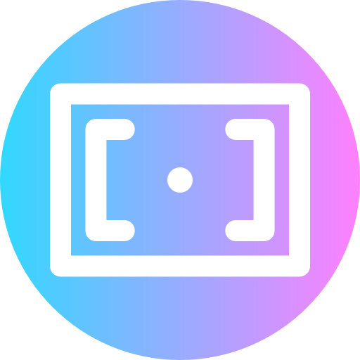 Record icon