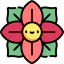 Poinsettia icon 64x64