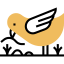Bird icon 64x64