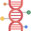Genetics Ikona 64x64