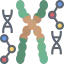 Dna icon 64x64
