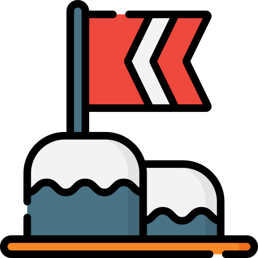 Flag icon