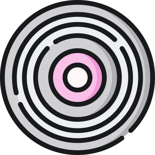 Record icon