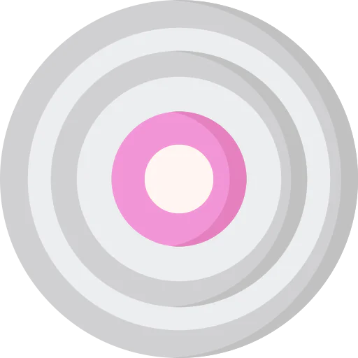 Record icon