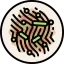 Vegan food icon 64x64
