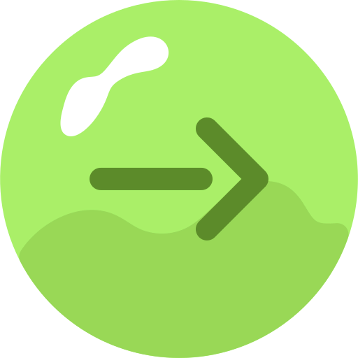 Right arrow icon