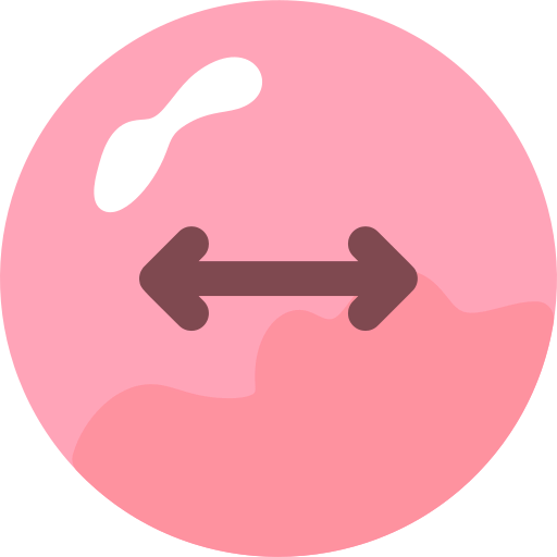 Double arrow icon