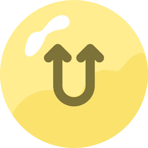 Double arrow icon