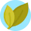 Leaves ícone 64x64