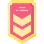 Chevron icon 64x64
