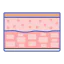 Skin icon 64x64