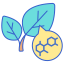 Terpenes icon 64x64