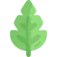 Leaf icon 64x64