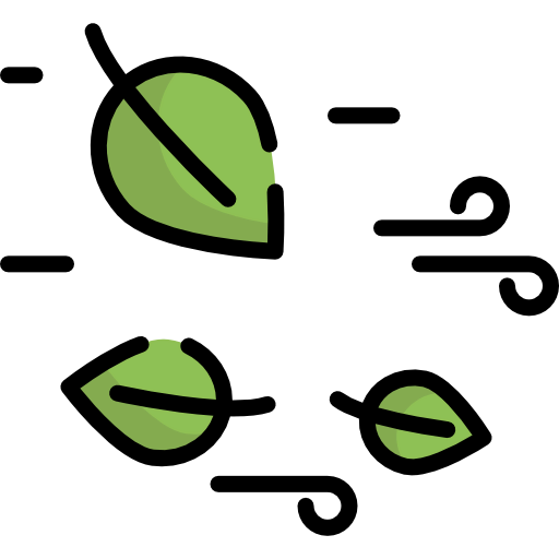 Windy icon