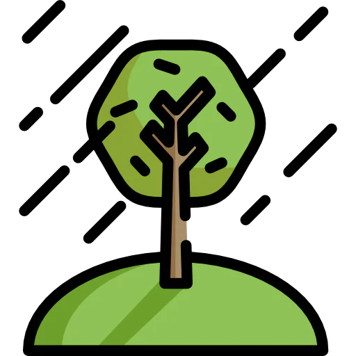 Tree icon