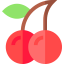 Cherry icon 64x64