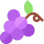 Grapes icon 64x64