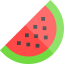 Watermelon icon 64x64