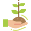 Sprout icon 64x64