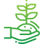 Sprout icon 64x64