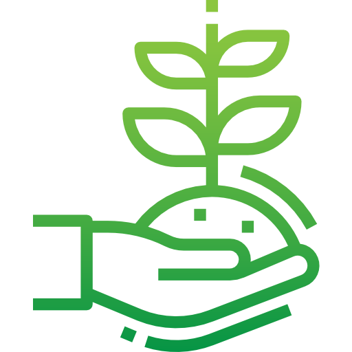 Sprout icon
