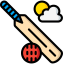 Cricket icon 64x64