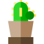 Cactus Ikona 64x64