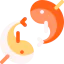 Koi icon 64x64