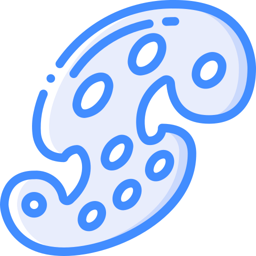 Pallet icon