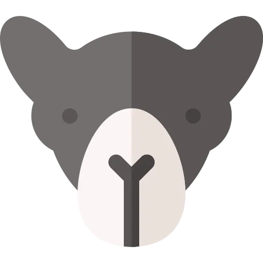 Camel icon