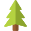 Pine icon 64x64