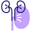 Kidneys Symbol 64x64