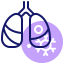 Human lungs icône 64x64