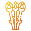 Asparagus Symbol 64x64