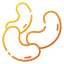 Beans Symbol 64x64