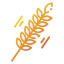 Grain icône 64x64