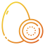 Kiwi Symbol 64x64