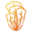 Lettuce Symbol 64x64