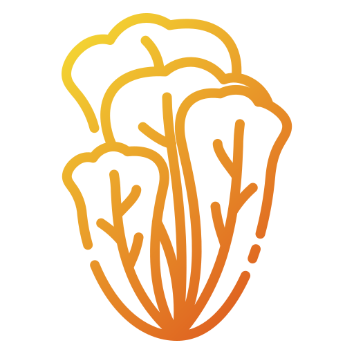 Lettuce icon
