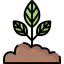 Sprout icon 64x64