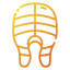 Salmon Symbol 64x64