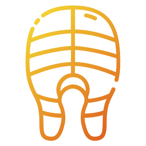 Salmon icon
