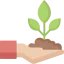 Sprout icon 64x64