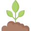 Sprout icon 64x64