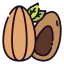 Almond icon 64x64