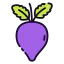 Beet icon 64x64