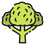 Broccoli icon 64x64